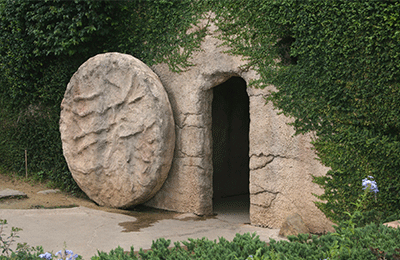 basic-_0002_experience